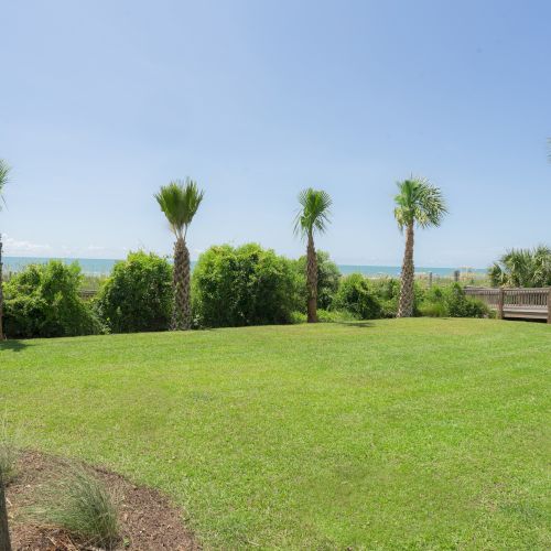A grassy lawn with palm trees overlooks the ocean under a clear blue sky.