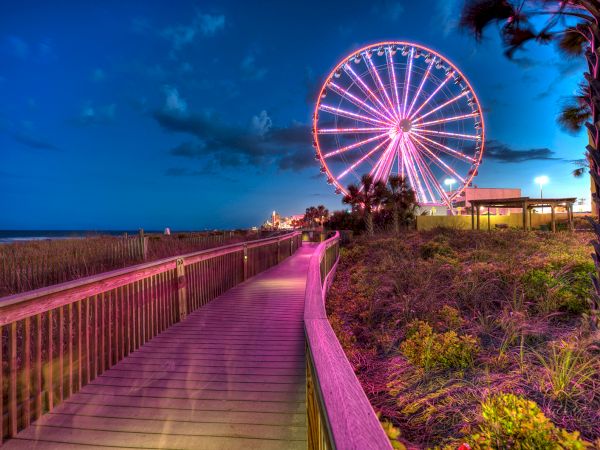 The image shows a brightly lit Ferris wheel at night, with a wooden boardwalk and palm trees leading towards it against a clear sky.