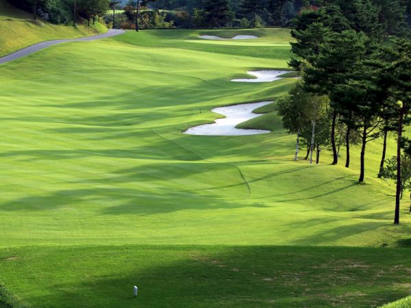 A golf course with neatly manicured grass, sand bunkers, and trees lining the fairway under a clear sky ends the scene.