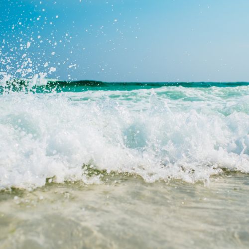 &copy; Voco The Shelby &ndash; Myrtle Beach