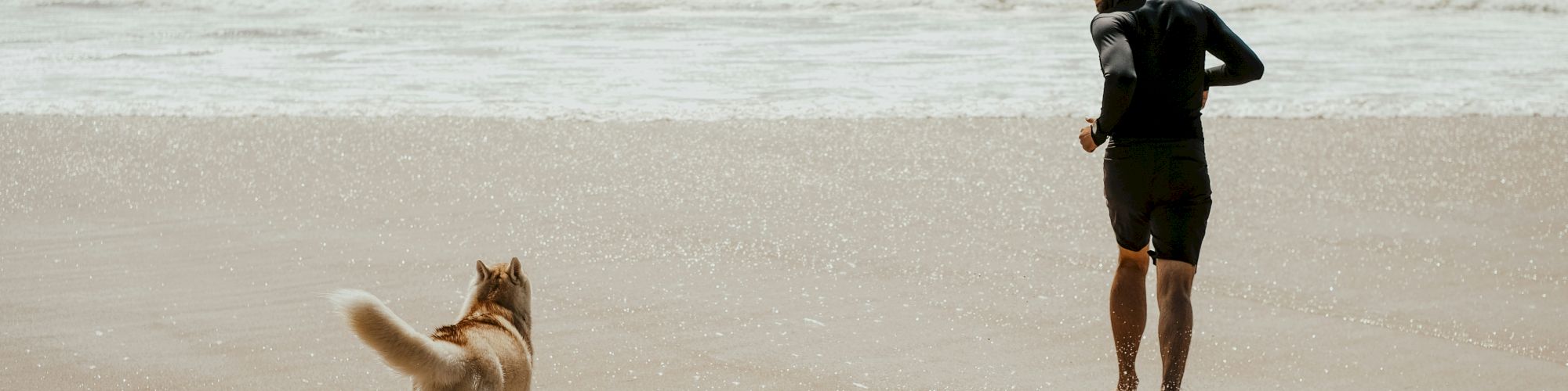 A man in a cap strolls along a windy beach with his dog as waves roll in under a cloudy sky.